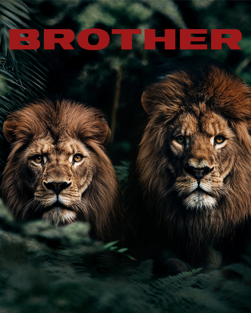 Beats × DJ khaled Beats by Dre - Love is the Major🔑. DJ Khaled debuts the